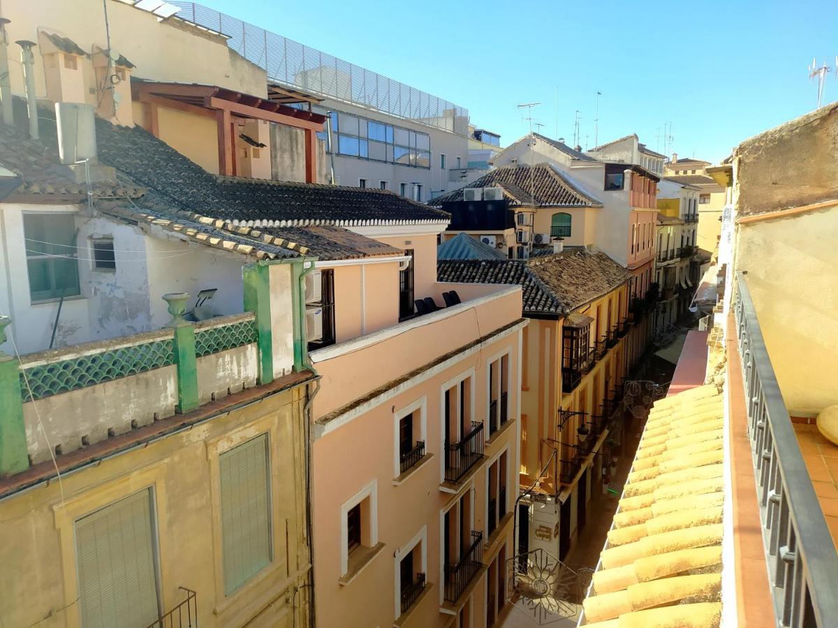 El Olivo Rumah tetamu 3*